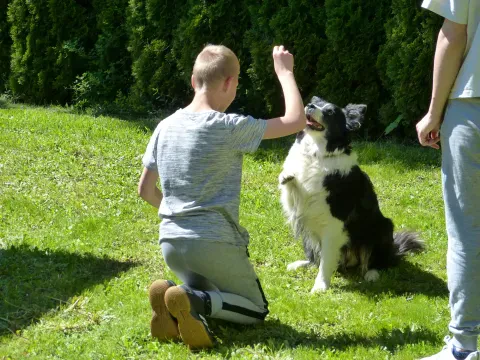 Dětský domov se školou, základní škola a školní jídelna - fotografie