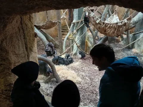 Dětský domov se školou, základní škola a školní jídelna - fotografie